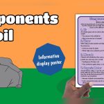 Why Is Water Such an Important Component of Soils?