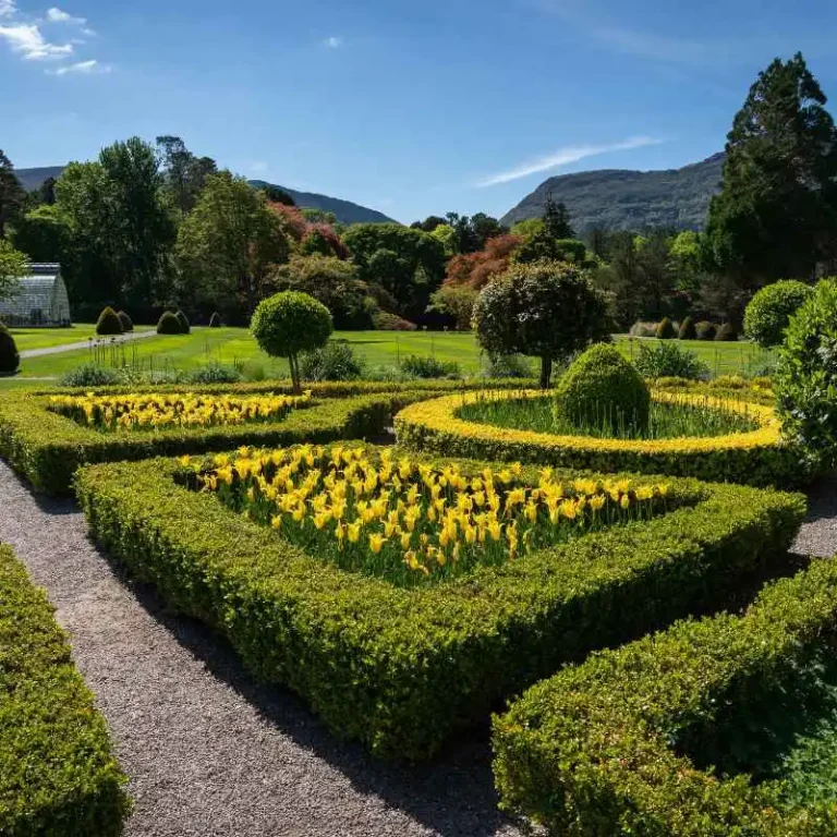A Business Approach To Sustainable Landscape Restoration