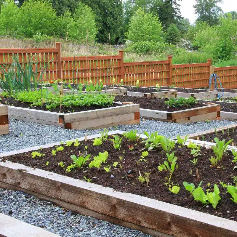 Alternatives to Galvanized Hardware Cloth for Garden Beds