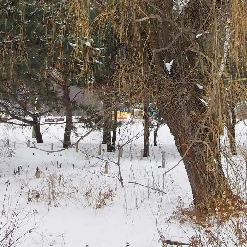 Are The Botanical Gardens In Skokie Open During Winter?