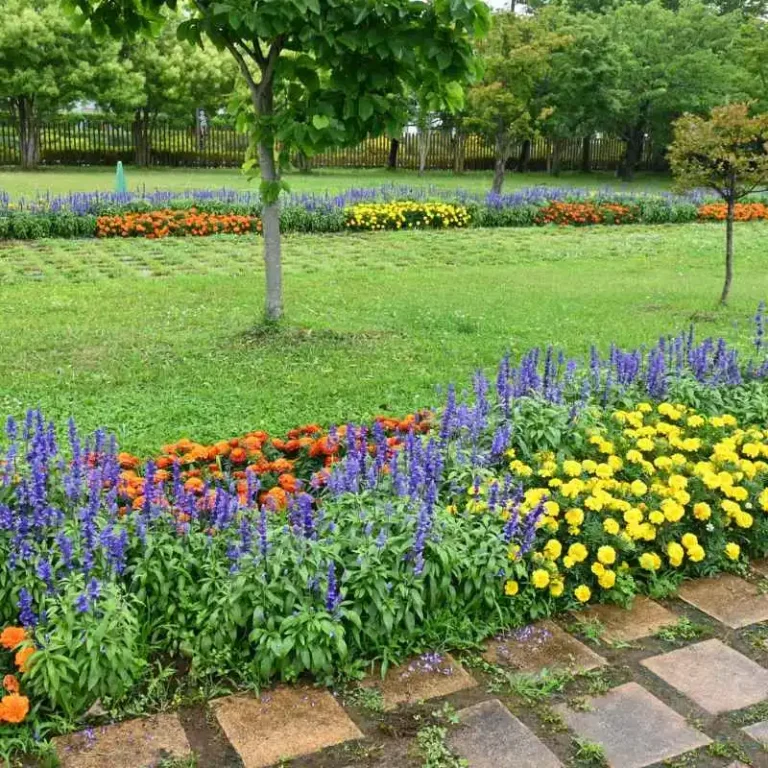 Are There Botanical Gardens Near Greeneville Tennessee?