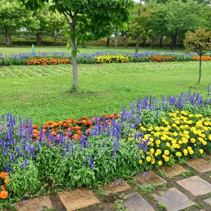 Are There Botanical Gardens Near Greeneville Tennessee?