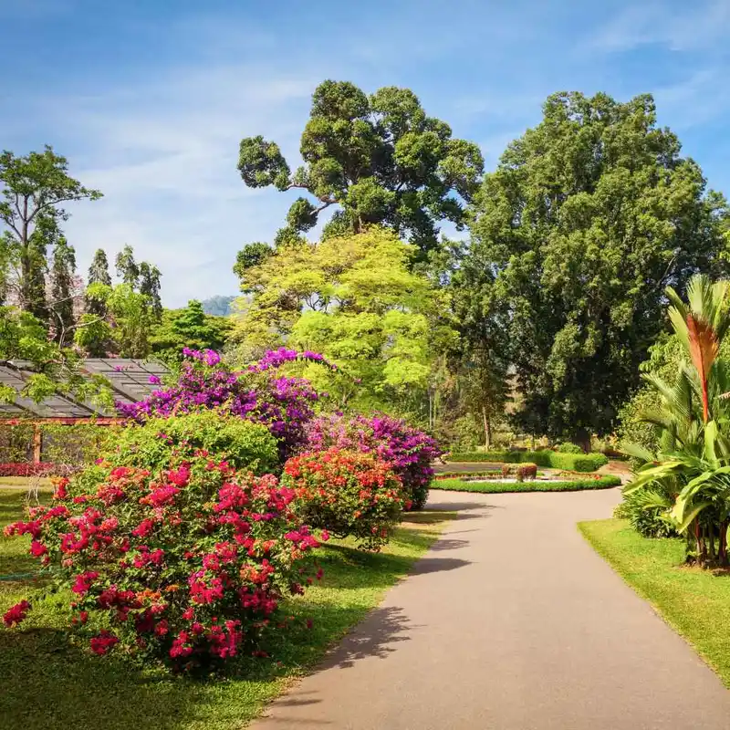 Quick Tips for Visiting