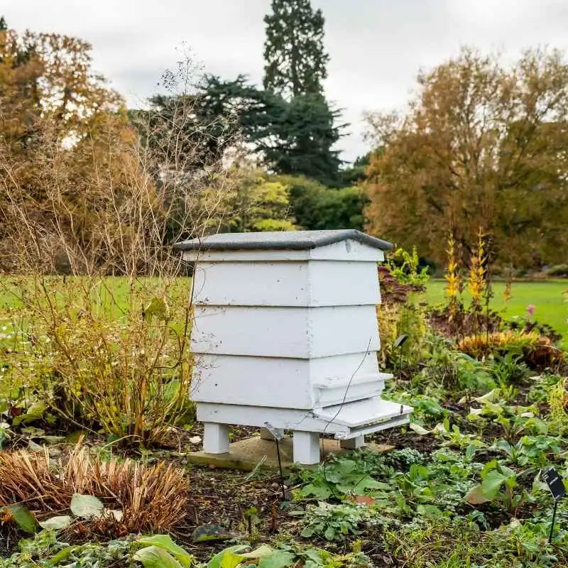 Can A Walk In The Park At Boerner Botanical Gardens Work In November?