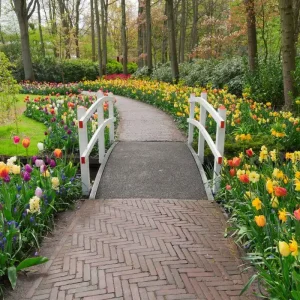Can A Walk In The Park At Boerner Botanical Gardens Work In November?