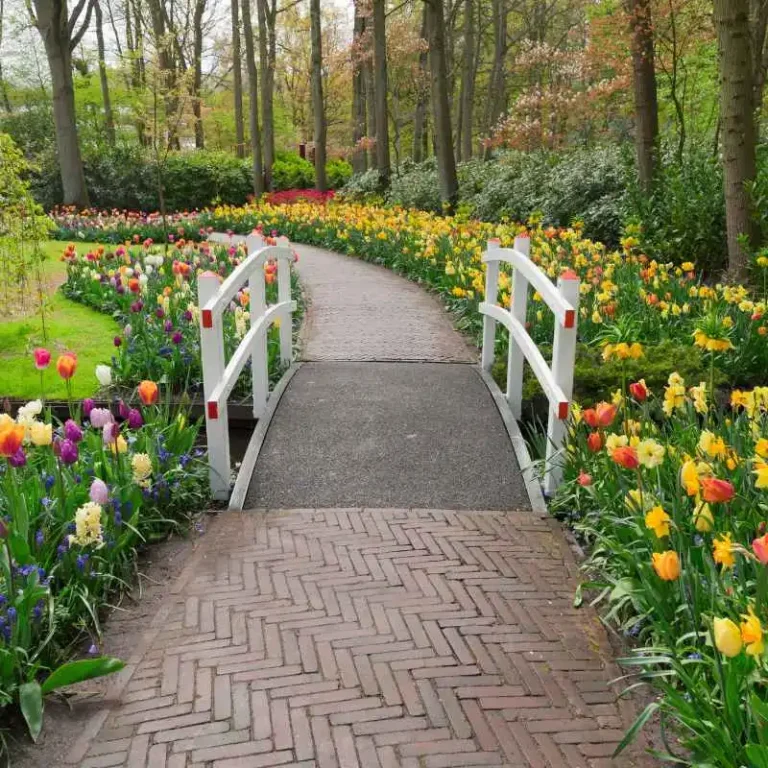 Can A Walk In The Park At Boerner Botanical Gardens Work In November?