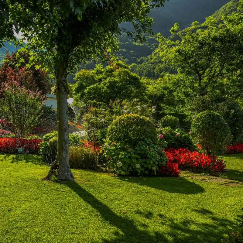 Understanding Bag Policies at the Atlanta Botanical Garden