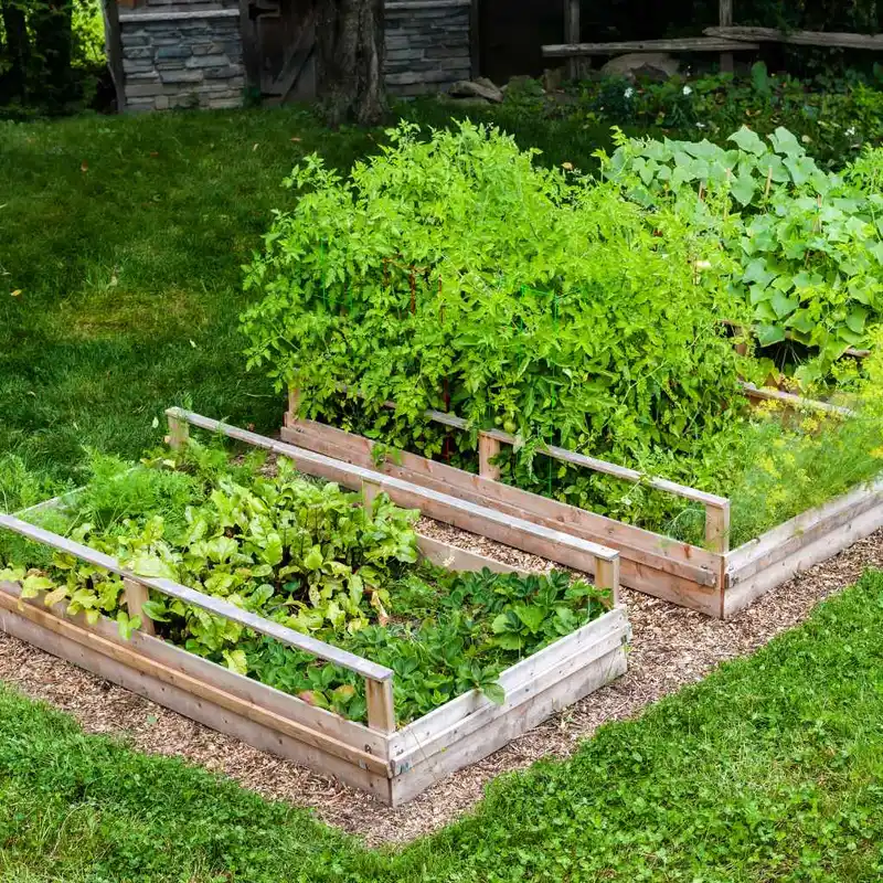 Quick Tips for Front Yard Garden Success