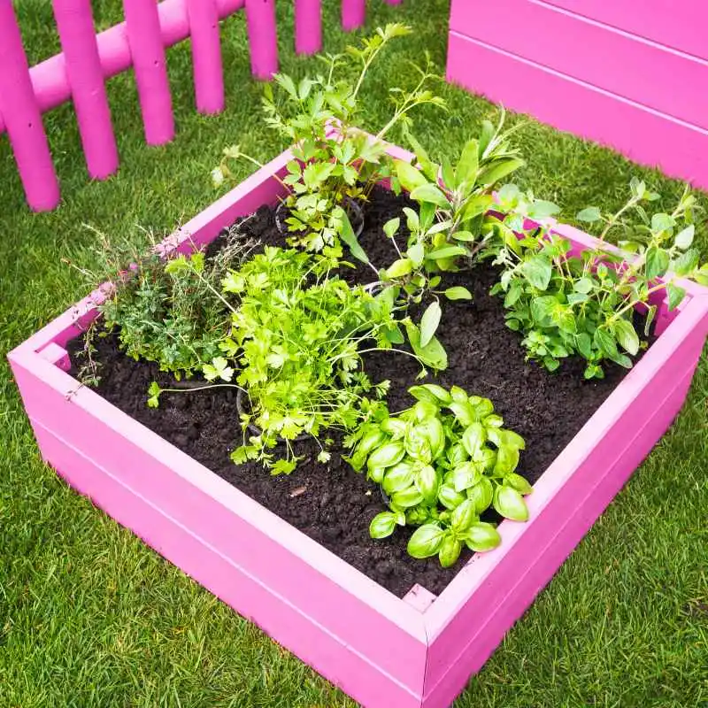 Common Mistakes When Using Painted Pine in Gardens