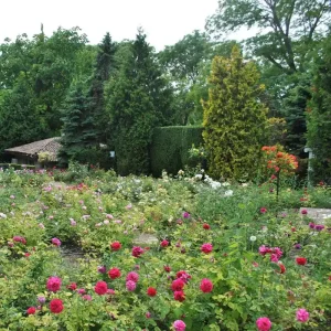 Do You Have To Take A Guided Tour To See Allerton Botanical Gardens?