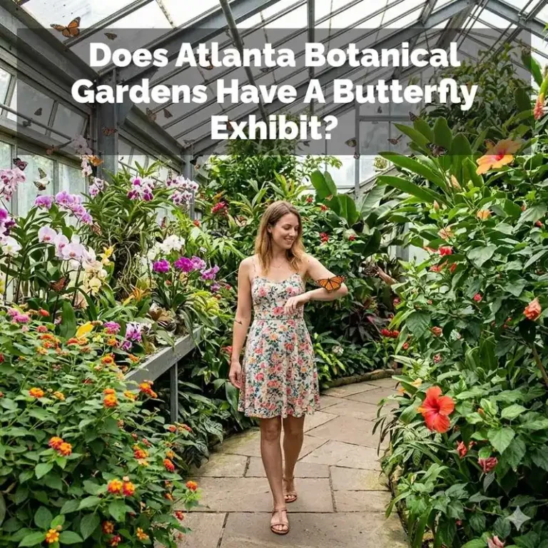 Does Atlanta Botanical Gardens Have A Butterfly Exhibit