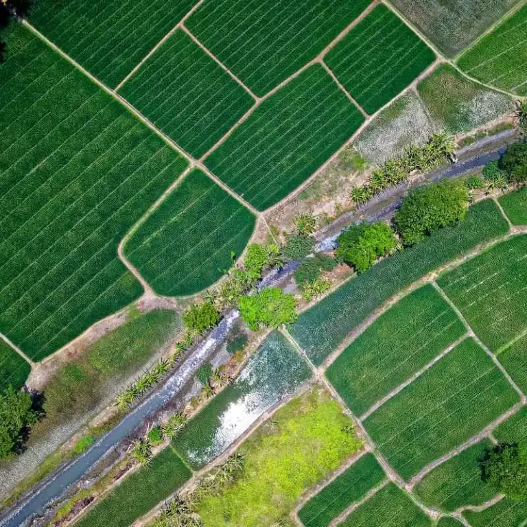 Does Drip Irrigation Increase Or Decrease Groundwater Recharge?