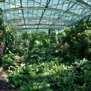 Does The Huntington Botanical Gardens Follow Water Laws?