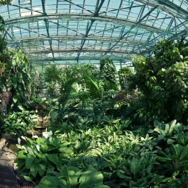 Does The Huntington Botanical Gardens Follow Water Laws?