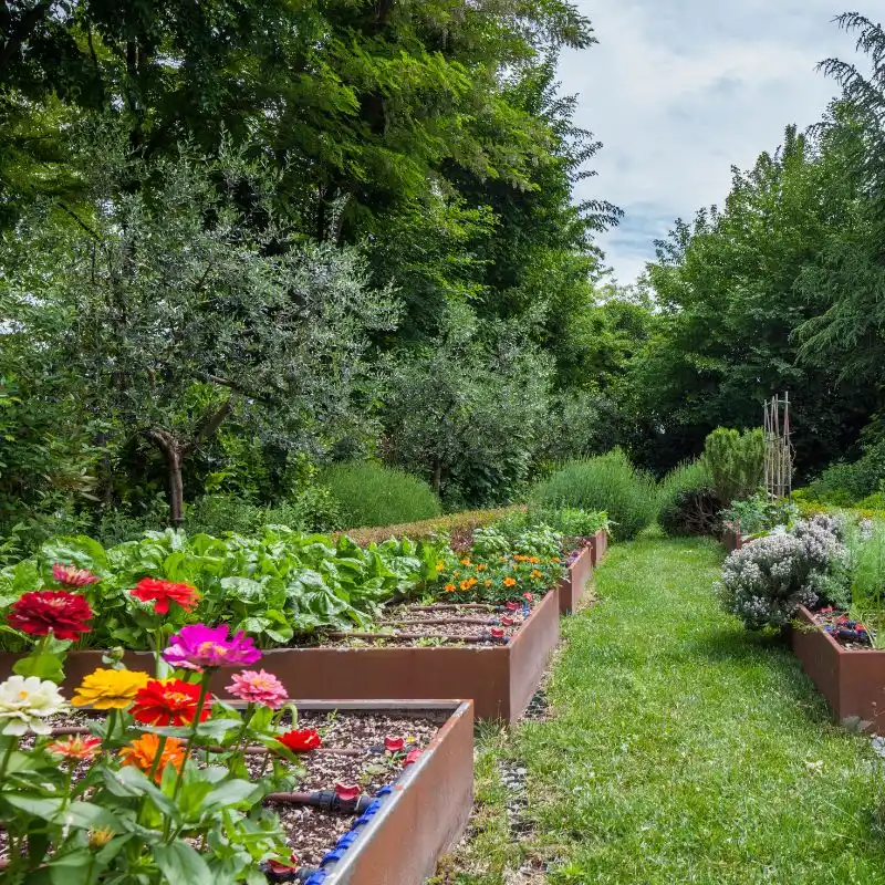 How Can Homeowners Prepare for Possible Garden Taxes?