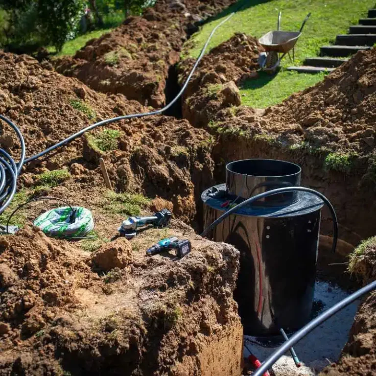 How Close Can You Plant Trees To Underground Utilities?