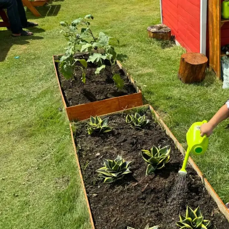 How Companion Planting Works In Raised 4X4 Gardens