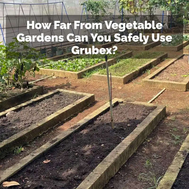 How Far From Vegetable Gardens Can You Safely Use Grubex