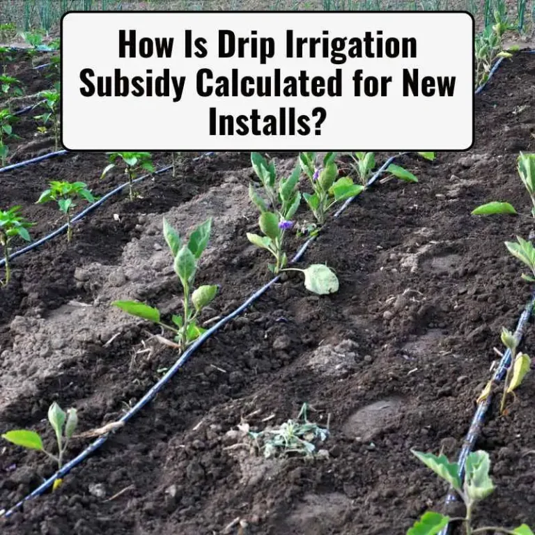 How Is Drip Irrigation Subsidy Calculated for New Installs