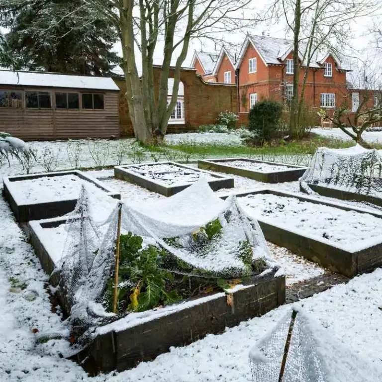 How To Add Snow Removal Services To Your Landscaping Business