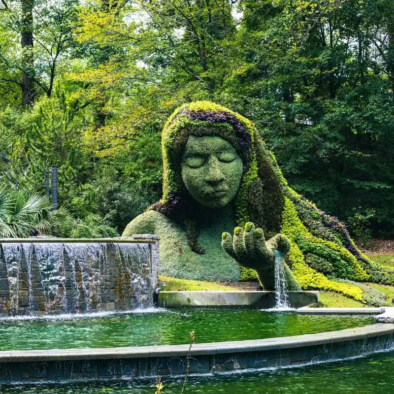 How To Get A Membership To American Botanical Gardens