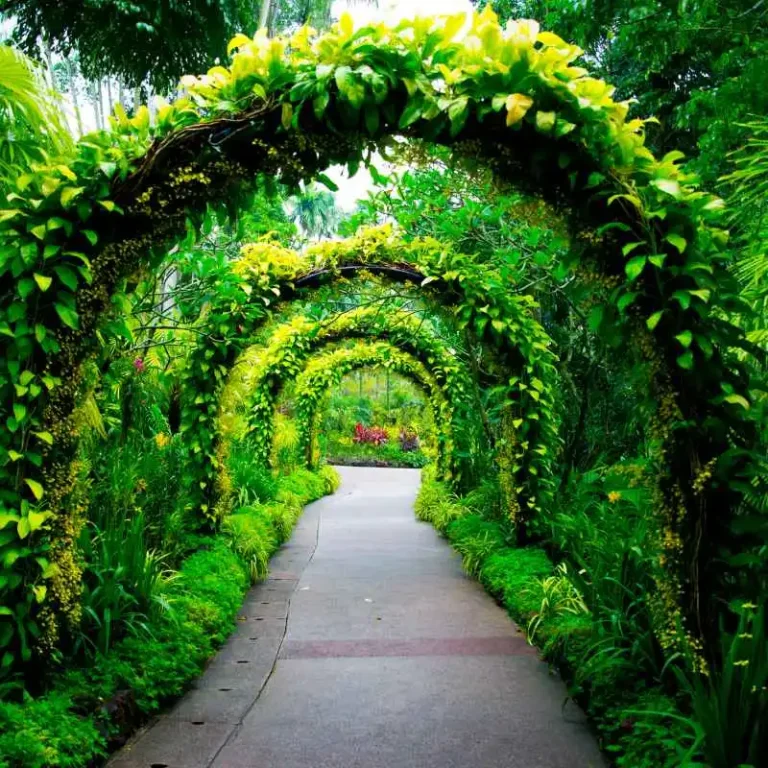 How To Get Discount Tickets For Sandwich Botanical Gardens