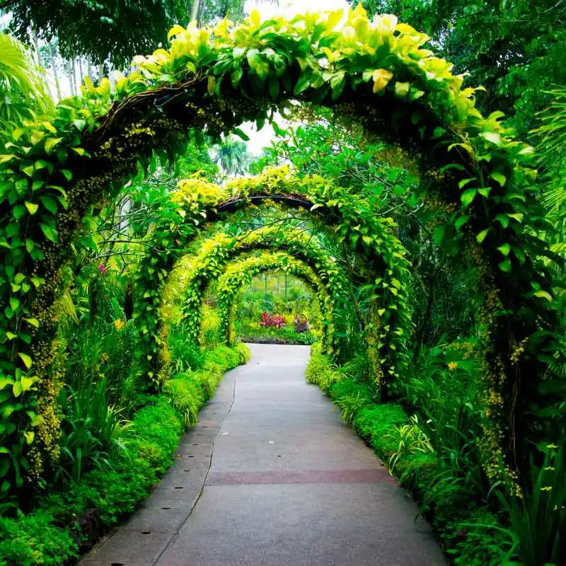 How To Get Discount Tickets For Sandwich Botanical Gardens