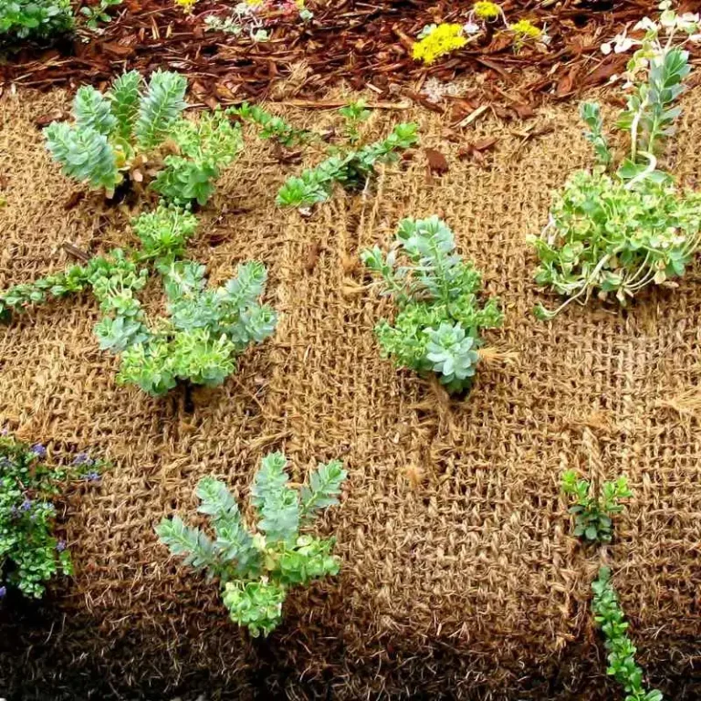 How To Stop Weeds From Growing Through Landscape Fabric