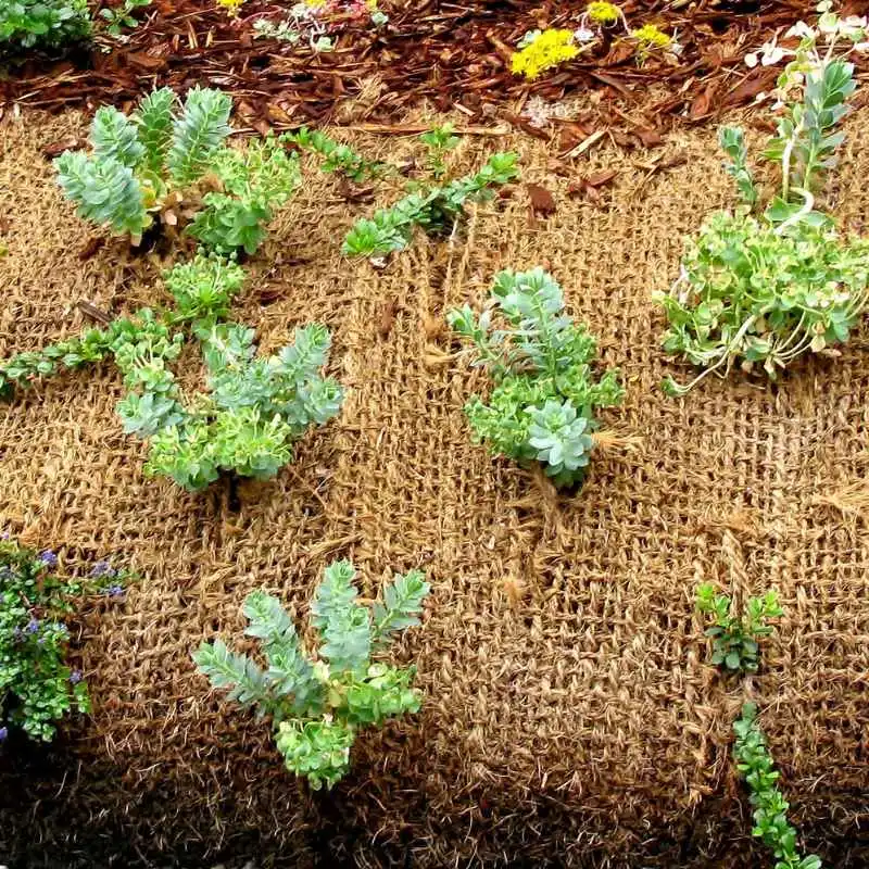 How To Stop Weeds From Growing Through Landscape Fabric