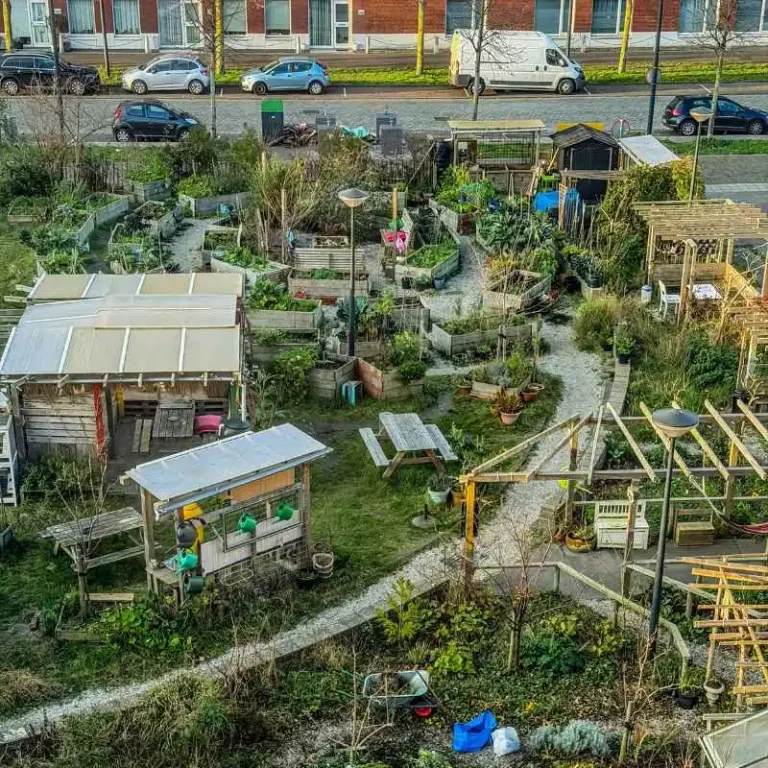 How Urbanization Threatens Communities And Landscapes Today