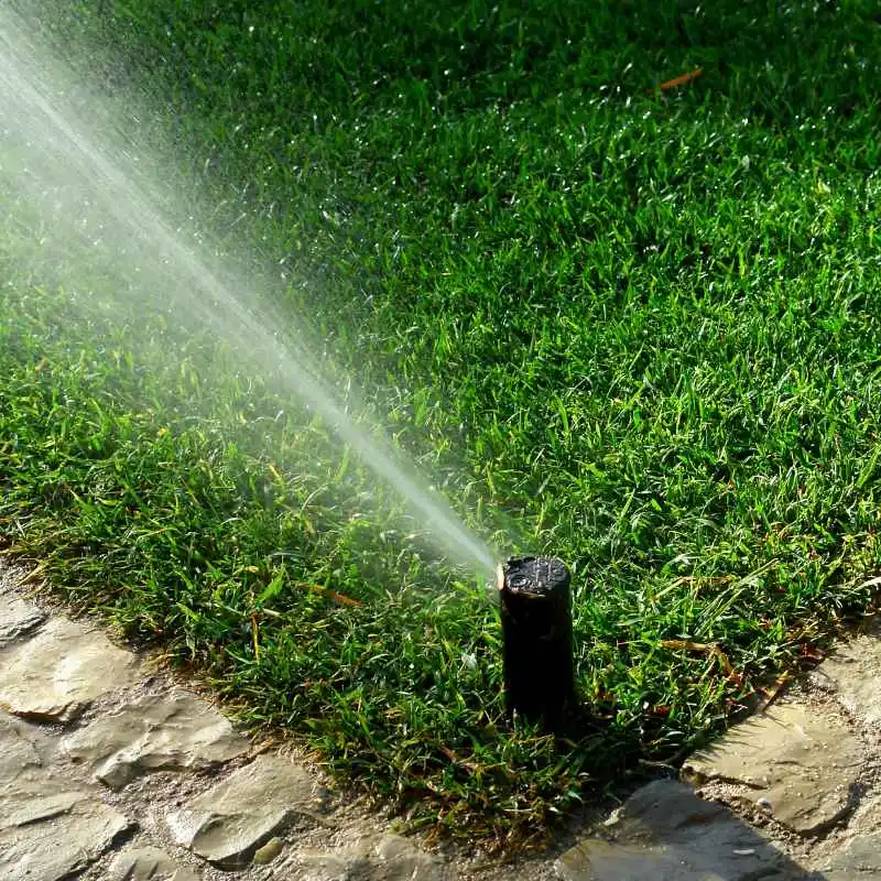 How to Test and Fine-Tune Your Irrigation Schedule