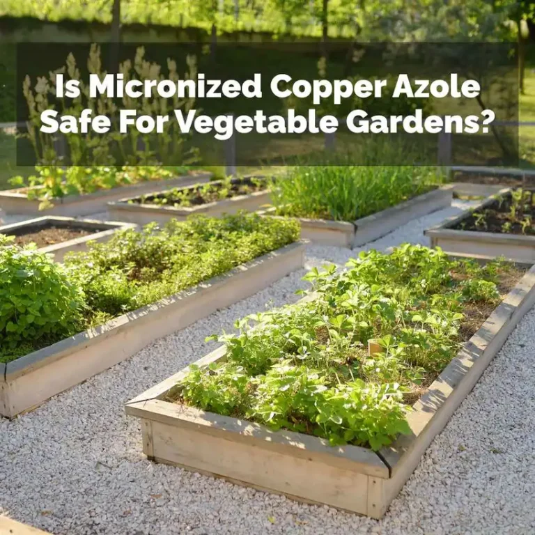 Is Micronized Copper Azole Safe For Vegetable Gardens