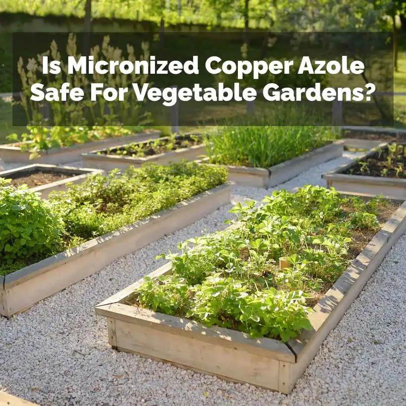 Is Micronized Copper Azole Safe For Vegetable Gardens