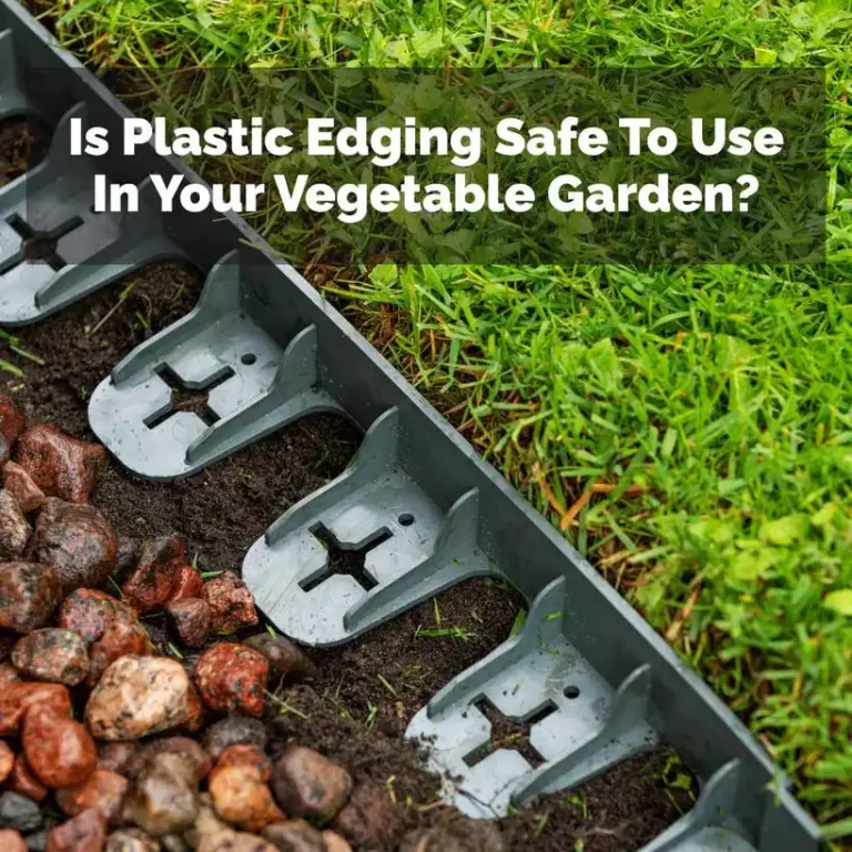Is Plastic Edging Safe To Use In Your Vegetable Garden