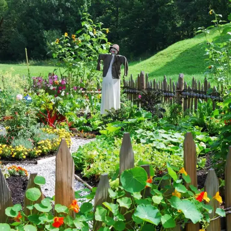Is Weathershield Wood Safe For Vegetable Gardens?