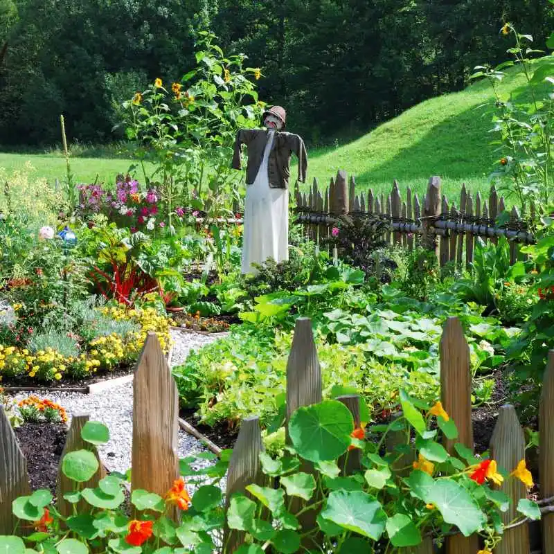 Is Weathershield Wood Safe For Vegetable Gardens?