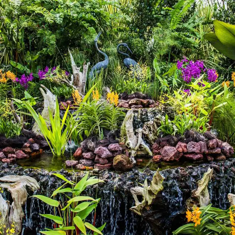 How To Read Plant Labels From The Huntington Botanical Gardens