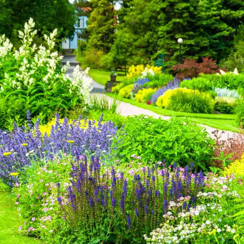 Quick Fixes & Tips for Learning in Gardens