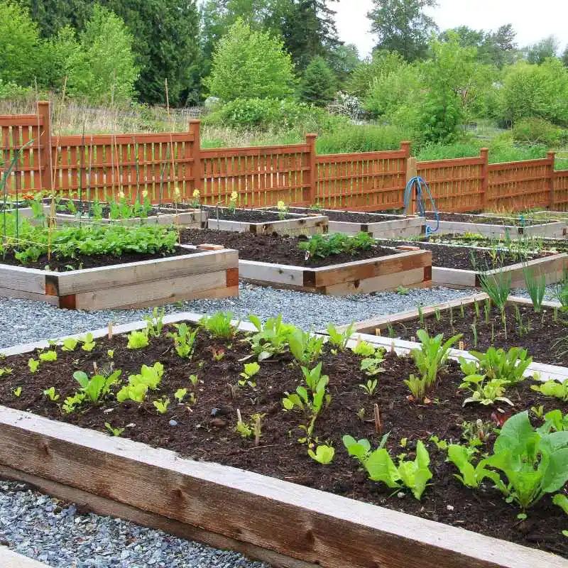 Quick Fixes and Tips for Using Treated Wood