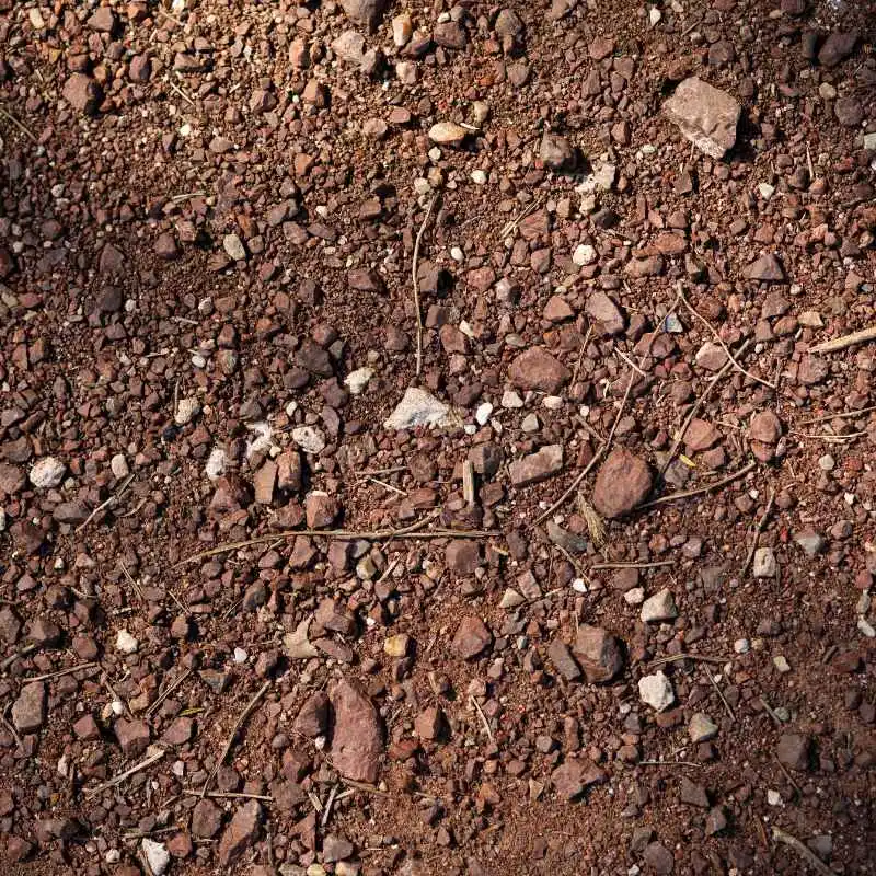 Quick Tips for Better Soil Understanding