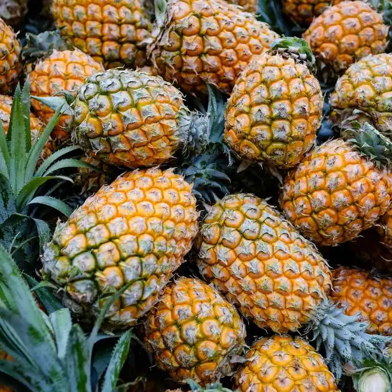 Quick Tips for Pineapple Lovers