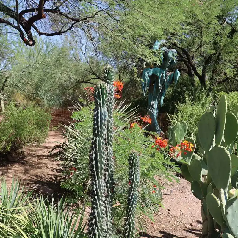 My July Garden Visit That Changed Everything