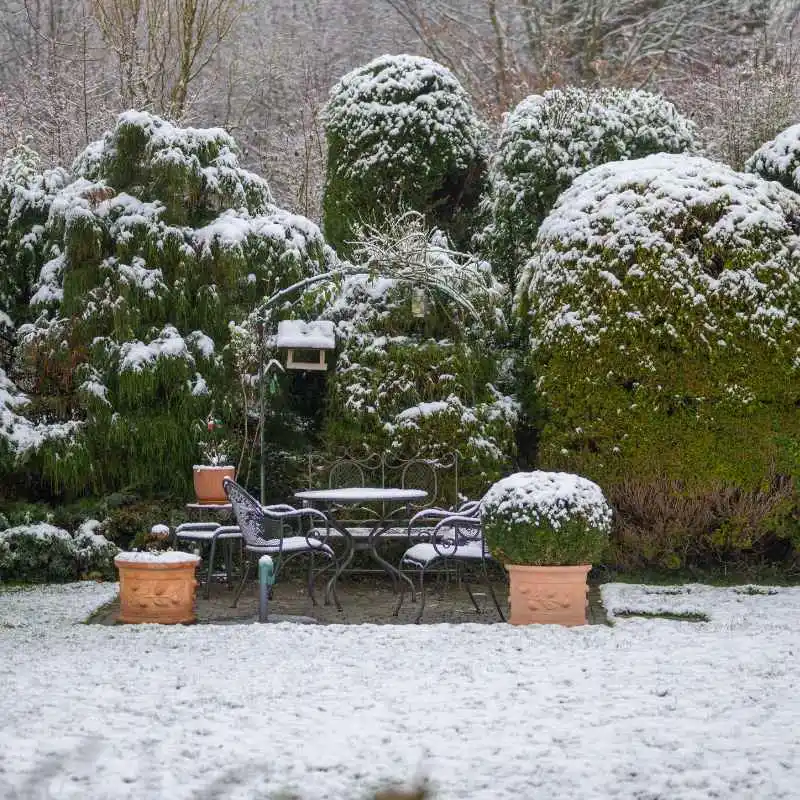 The Future of Snow Removal for Landscapers