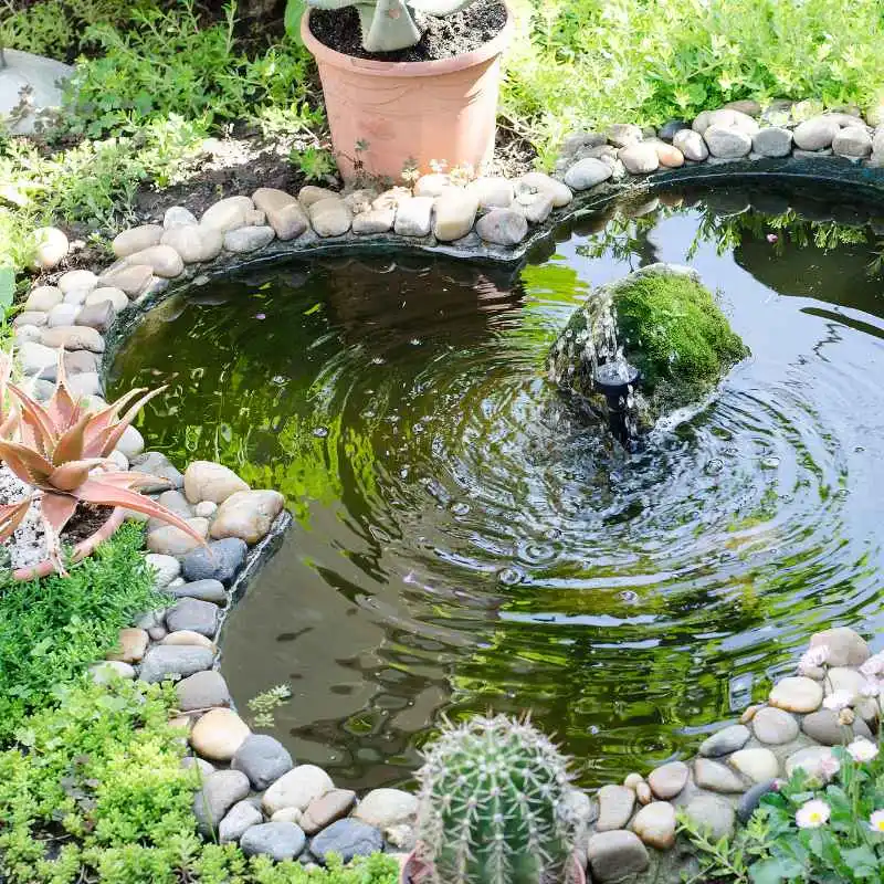 The Gardener's Unusual Choice
