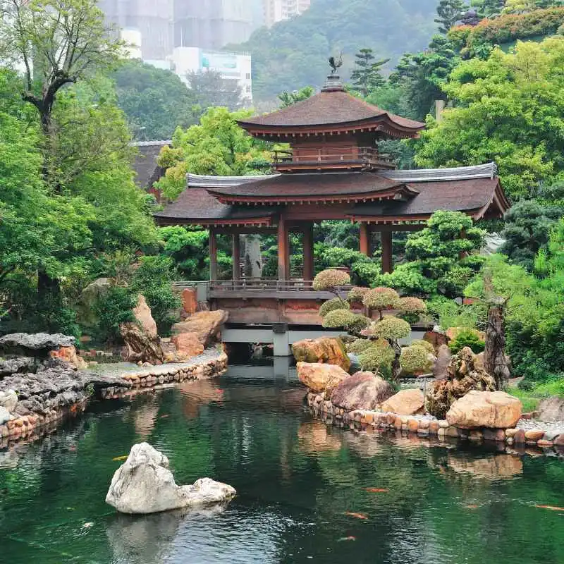 Understanding Hong Kong Zoological and Botanical Gardens