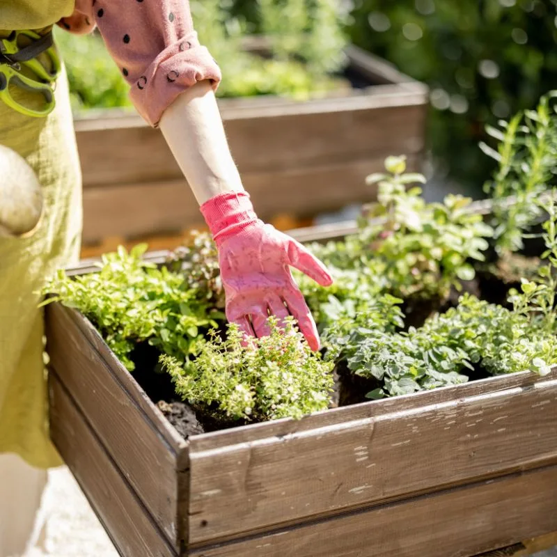 What Does It Mean to Tax a Home Vegetable Garden?
