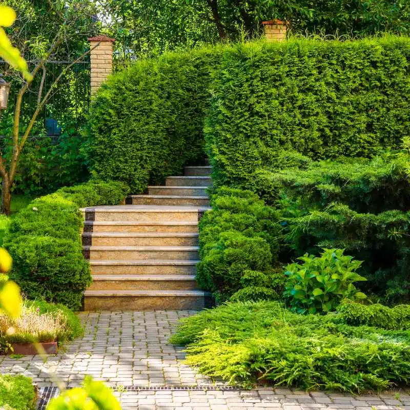 What Does a Gardener Do?