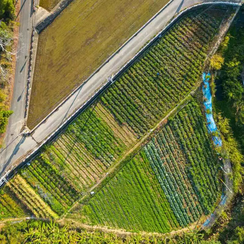 What Are the Long-Term Impacts of Excessive Soil Salinity?