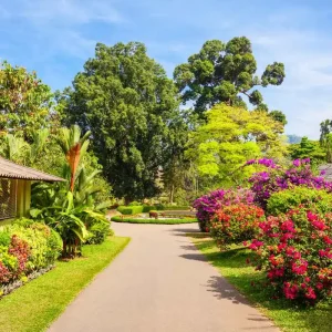 What Kind Of Park Is Kanapaha Botanical Gardens Gainesville Florida?
