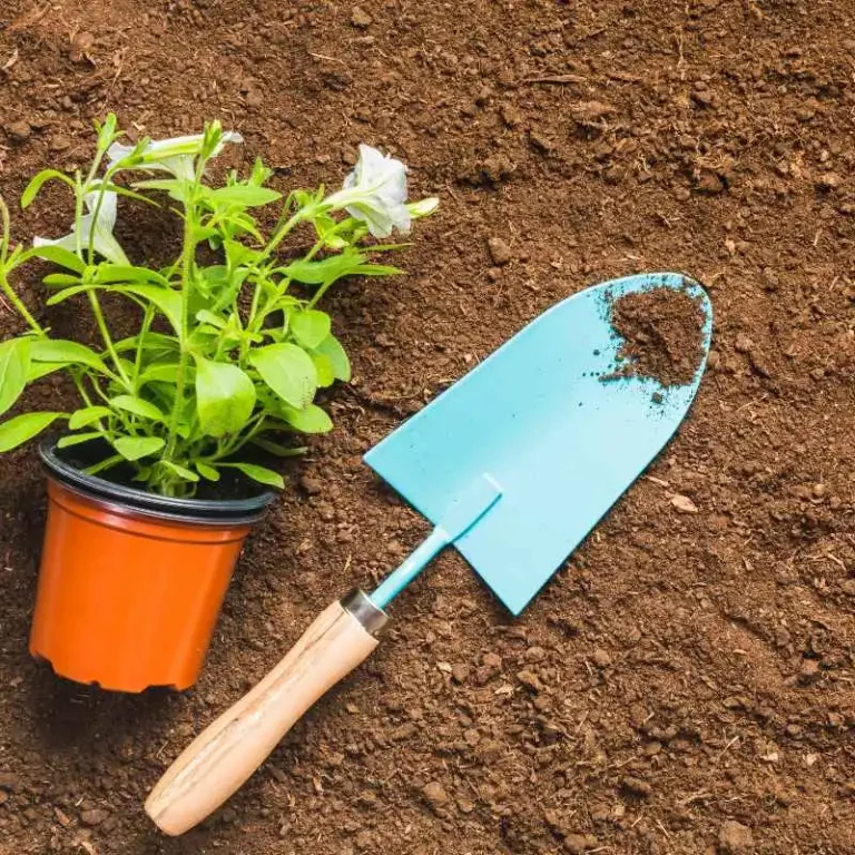 What Qualifications Do You Need For Landscape Gardening
